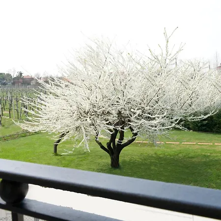 Bed & Breakfast Daniel 5*