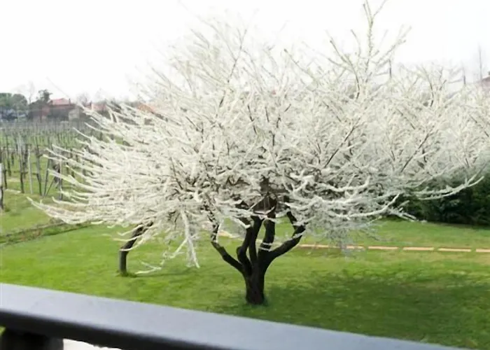 Nocleg ze śniadaniem Daniel