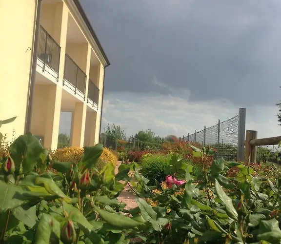 Daniel Nocleg ze śniadaniem