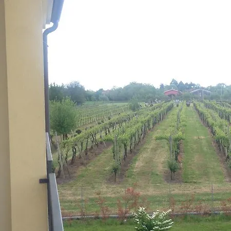 Bed & Breakfast Daniel