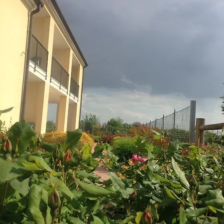 Daniel Bed & Breakfast